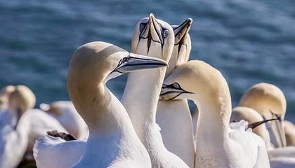 米兰体育官网入口-大连英博客场表现稳健，积分稳步攀升，大连英新科技有限公司